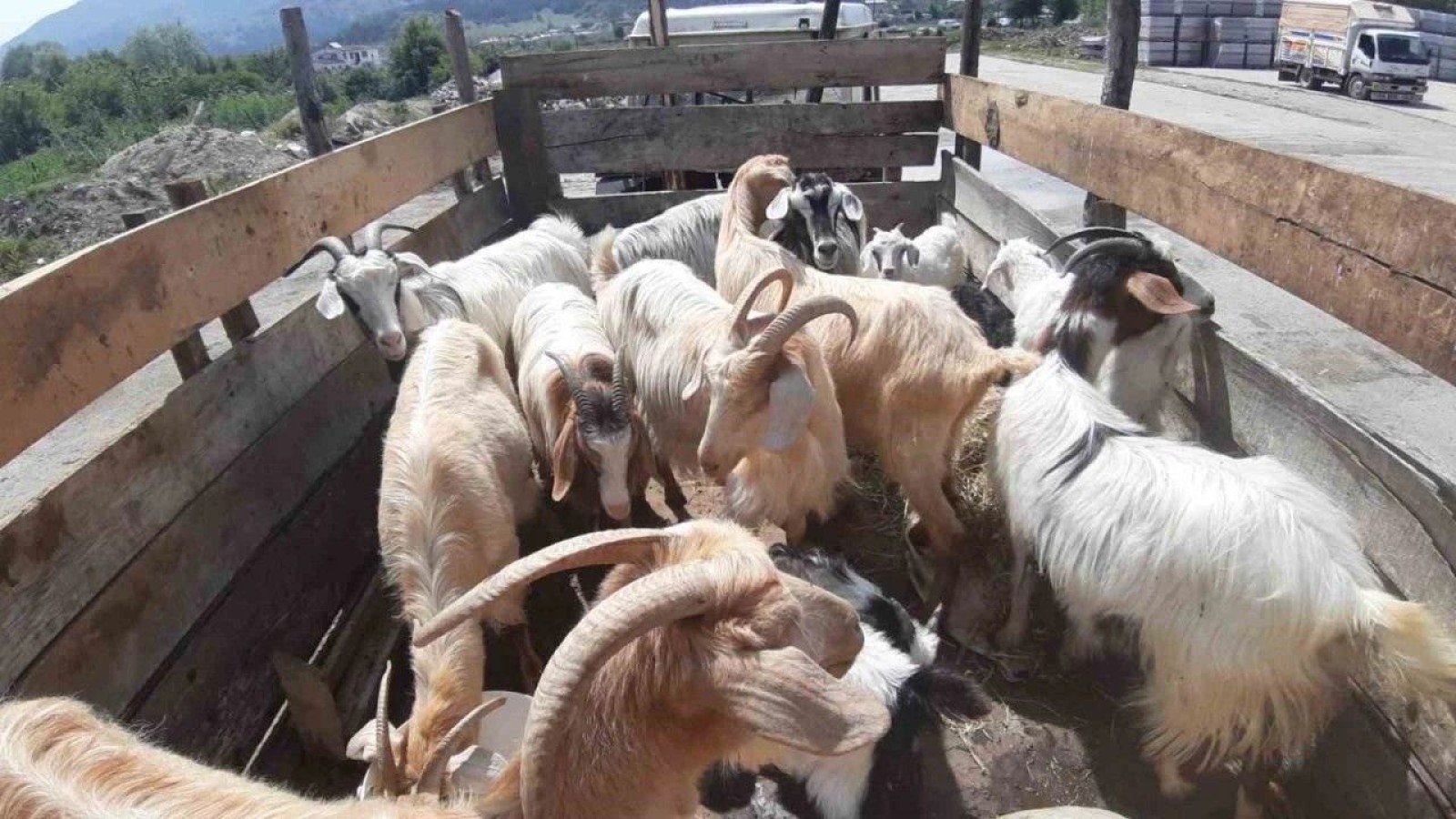 Kastamonu'da kol koparan pazarlıklar başladı!;