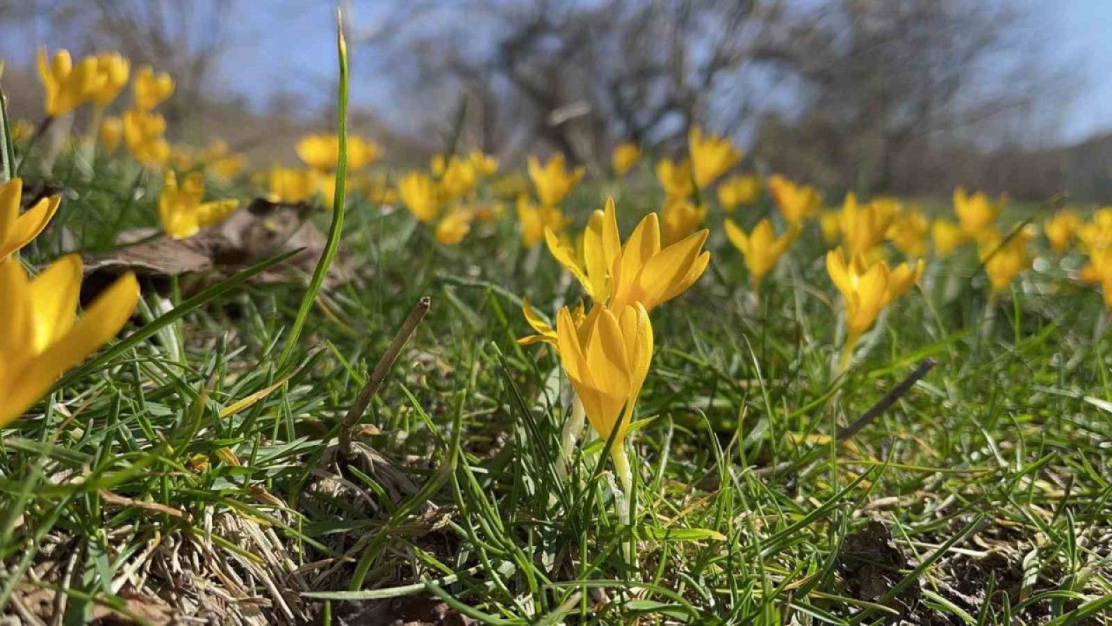 Kastamonu'da yeni yaşam vaadi