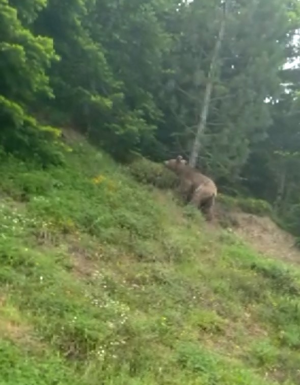 Vatandaş Kocaoğlan'dan tedirgin!;