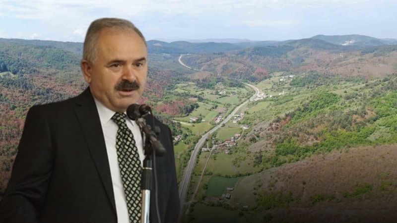 Kastamonu'da 'kızıl' orman için açıklama!;