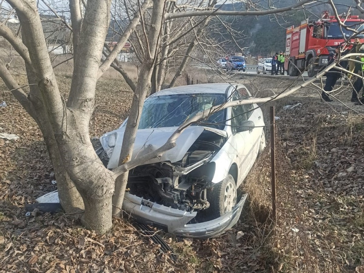 Otomobil ağaca çarptı: 2 yaralı;