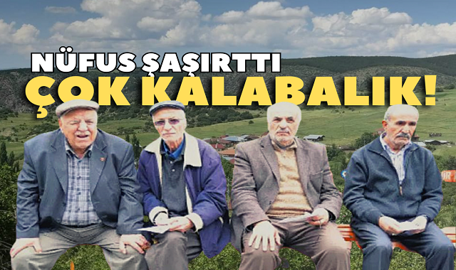 Kastamonu’da bu köy çok kalabalık!