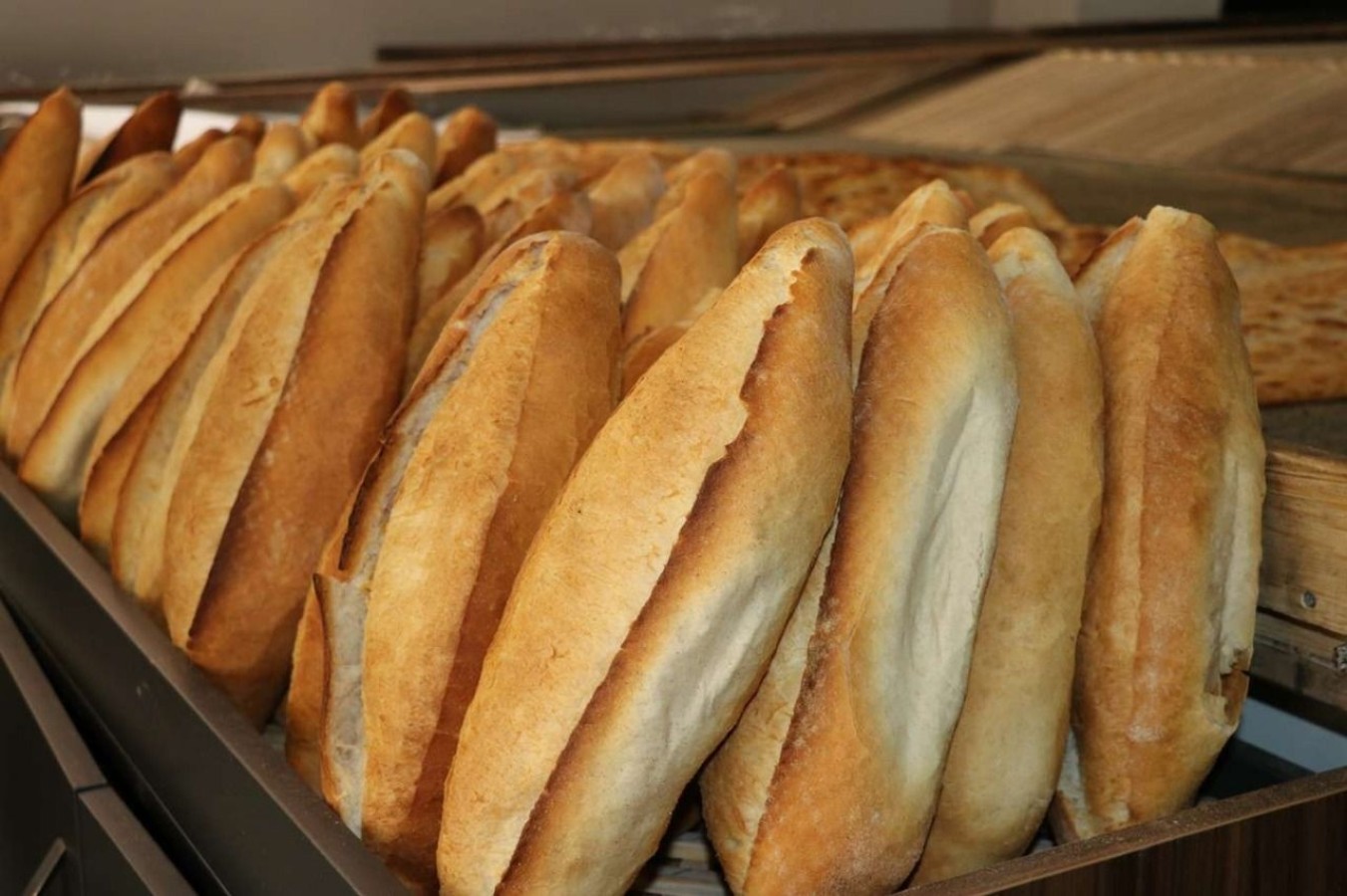 Kastamonu'da ekmeğe “ZAM”;