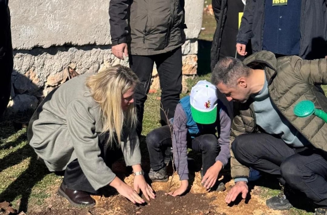 Daday'da fidanlar toprakla buluştu...;