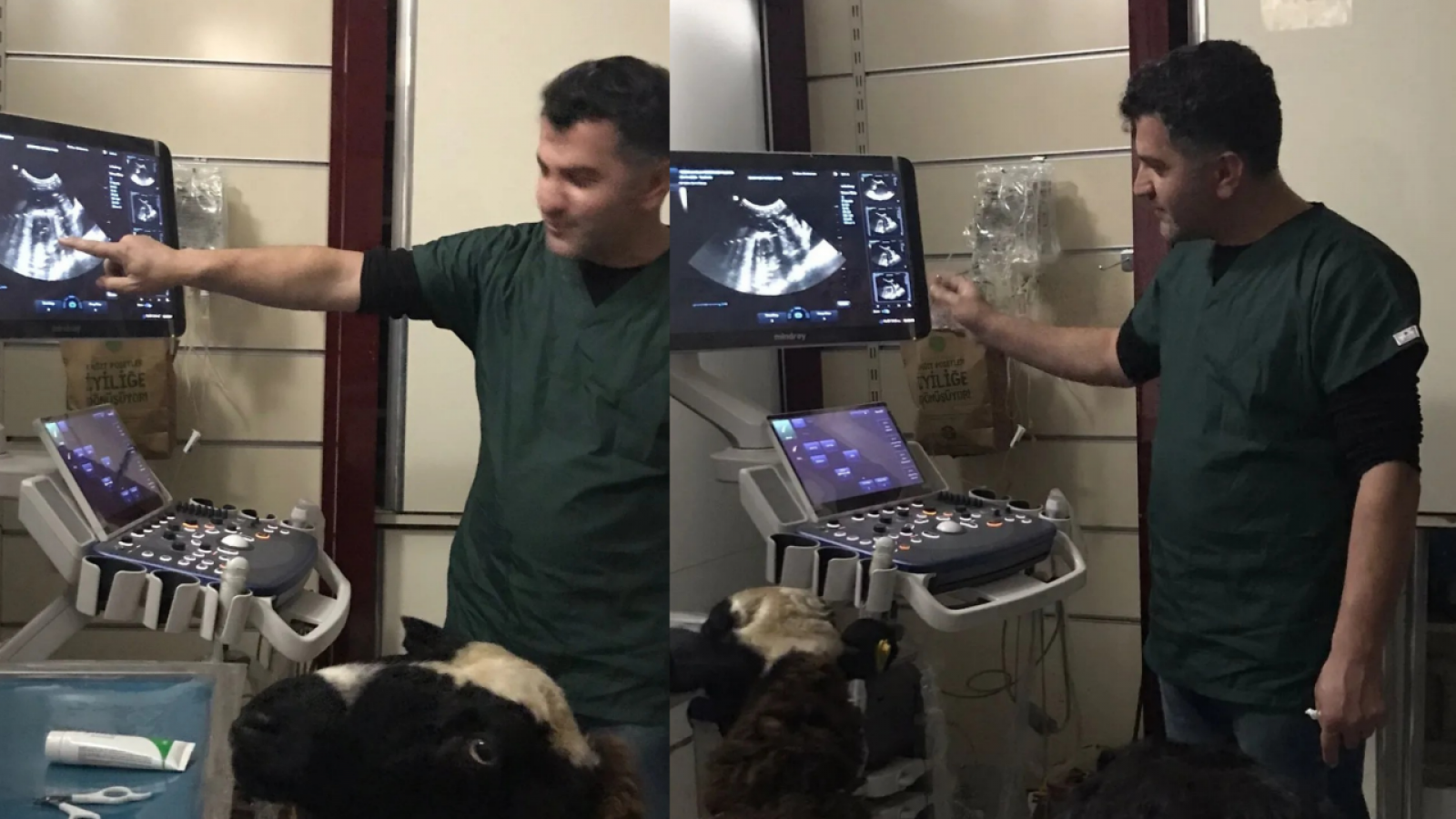 Kastamonu'daki veteriner kliniğinde ilginç anlar!;