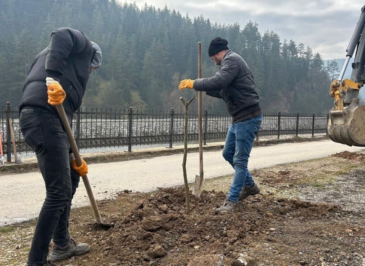 Belediye'den doğaya katkı;