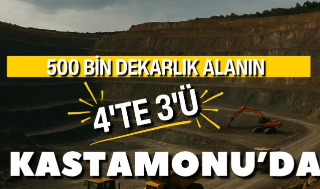 500 bin dekarlık alanın 4’te 3’ü Kastamonu’da!