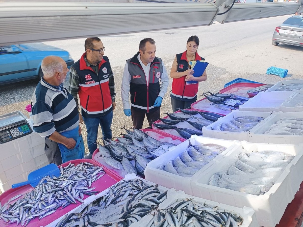 Kastamonu'da 6 işletmeye denetim!;