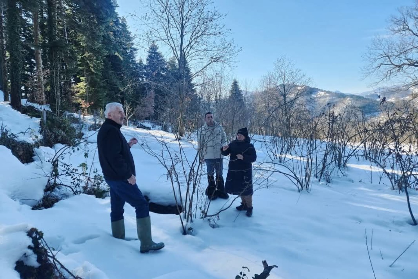 Kastamonu'daki fındık üreticilerine TARSİM uyarısı!;