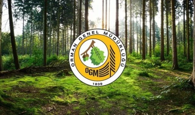 Dev personel alımı! Resmi Gazete’de yayınlandı