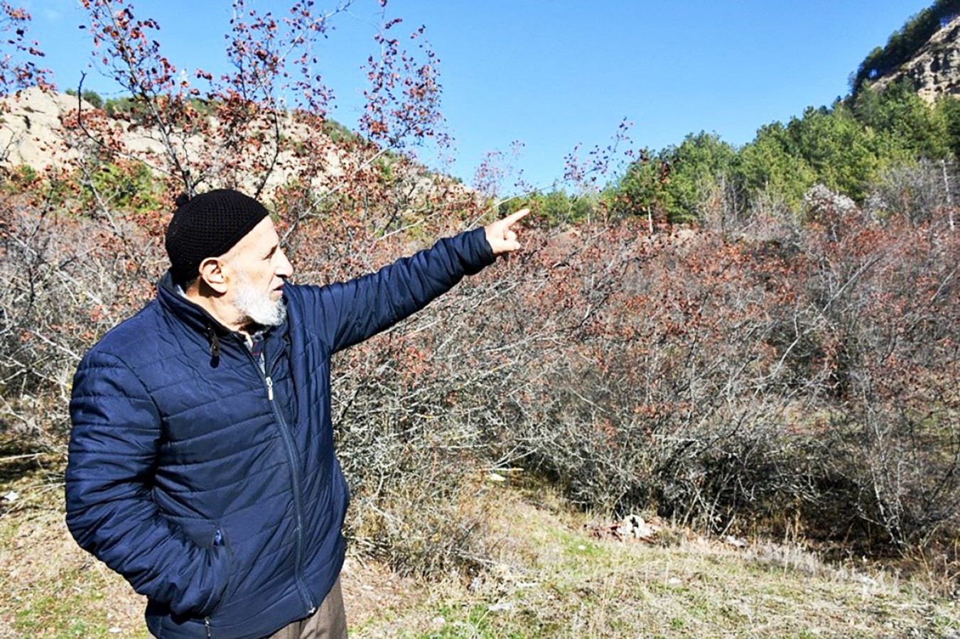 Define için deprem mezarlığını talan ettiler;