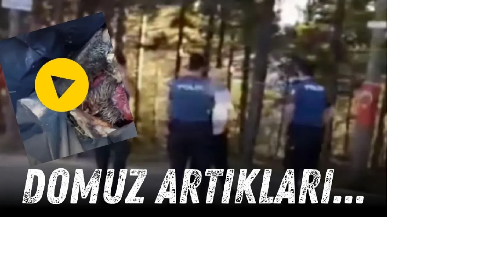 Kastamonu bunu da gördü!;