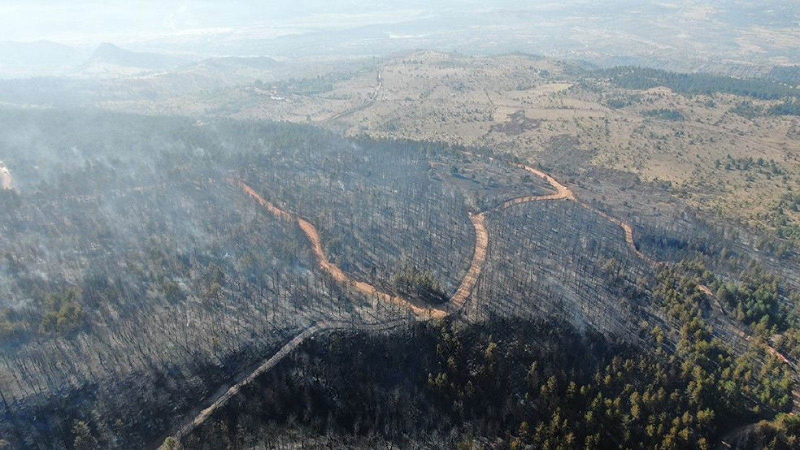 Ilgaz’da yürek yakan manzara! 44 hektar kül oldu