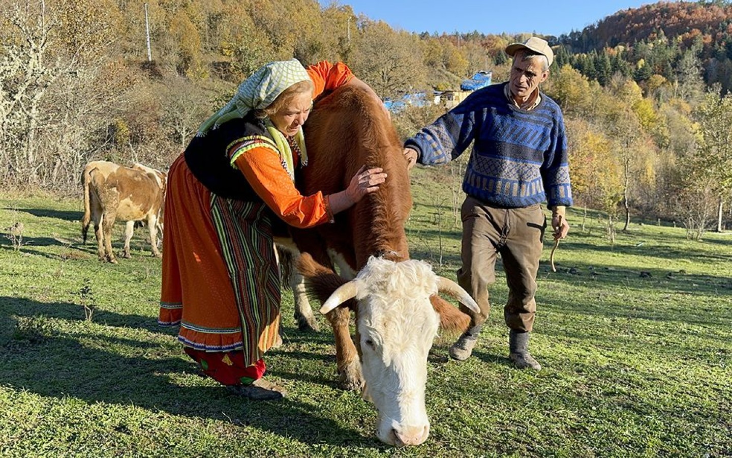 Konteynerde yaşayan çift, hayvancılığı bırakmıyor;