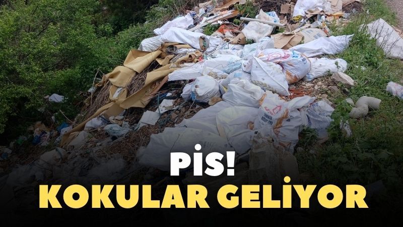 Kastamonu’da ‘rezil’ manzara!;