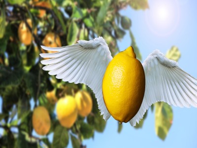 Limon üreticiden uçarak geliyor!